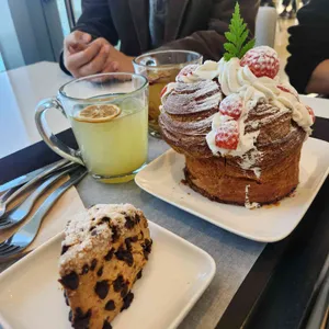 코델리아 사진