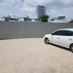 온카페 리뷰 사진