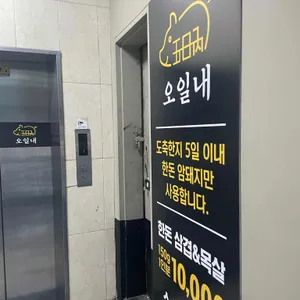 오일내 리뷰 사진