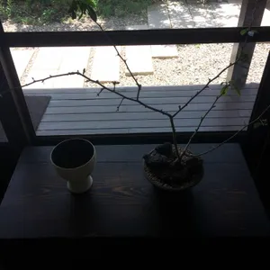 병과점 아시 사진 2