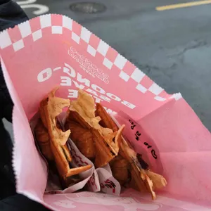 붕어유랑단 사진