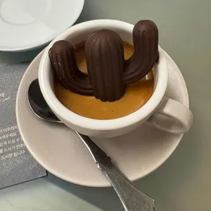 사라브 사진
