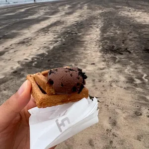 한라산도 사진