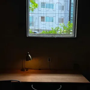 앤트러사이트 리뷰 사진