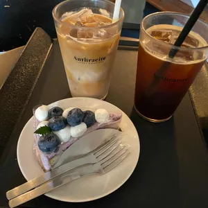 앤트러사이트 사진