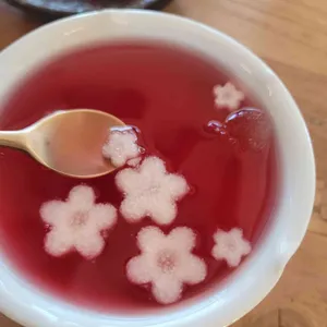 가봉반과 사진