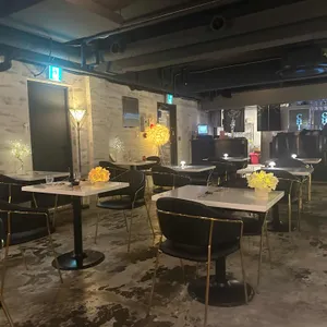 치스타리에 리뷰 사진
