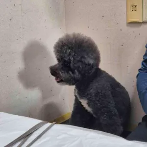 시골밥상 리뷰 사진