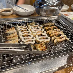 미남장어 사진