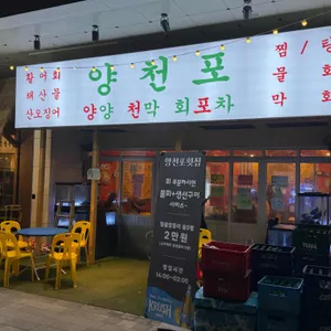 양천포 리뷰 사진