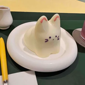 미크플로 사진