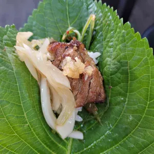 배가네 사진
