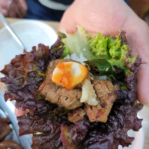 배가네 사진