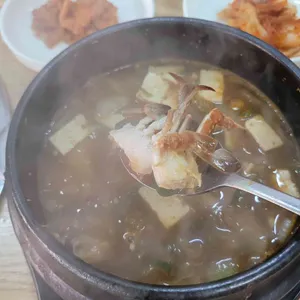 배가네 사진
