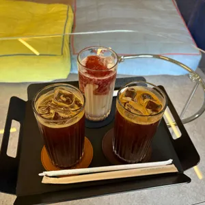 8코기네 사진