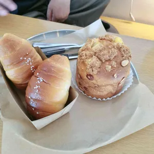 헤이든 사진