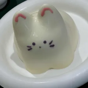 미크플로 사진