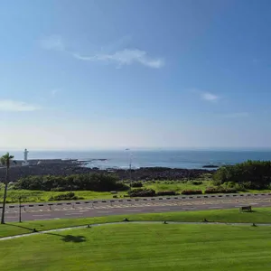 섬모라 리뷰 사진