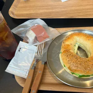 시노퍼 사진