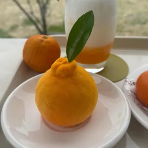 카페 귤낭 사진