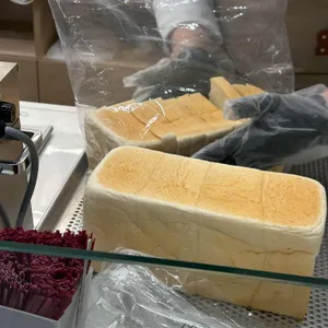 화이트리에 사진