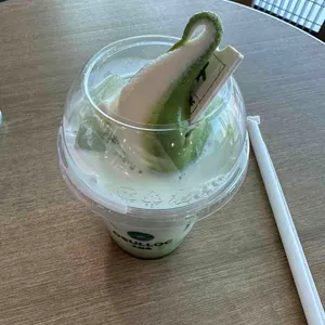 오설록 사진