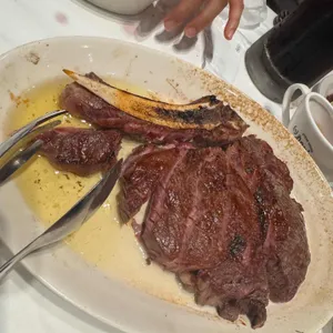 놉스 사진