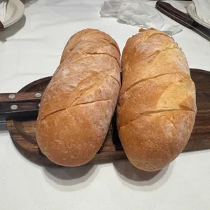 놉스 사진