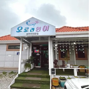 오로라연어 사진 2
