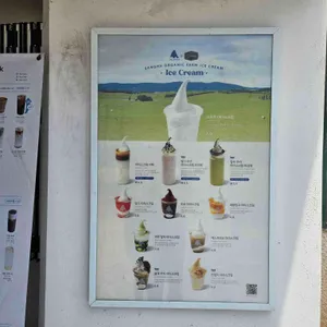 블루샥 리뷰 사진