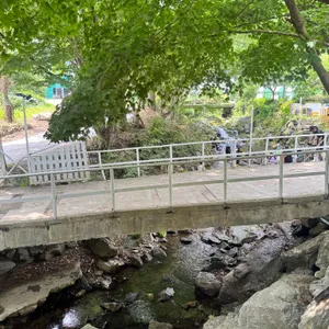 아르페지오 대표 사진