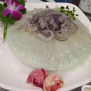 통통한오징어 사진