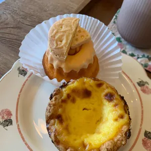 알파카네 사진
