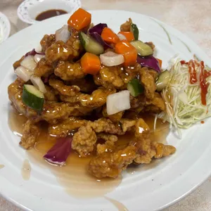 목화반점 사진