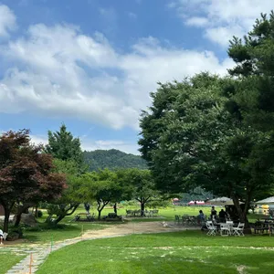 코미호미 리뷰 사진
