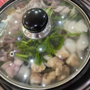 개미집 사진
