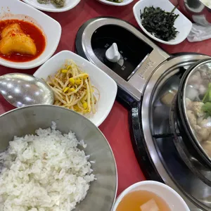 개미집 사진