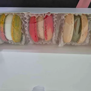 로아지스 사진