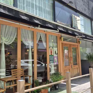 로아지스 사진