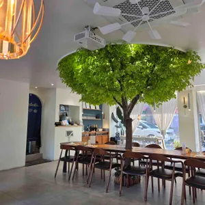 비다벨로 리뷰 사진