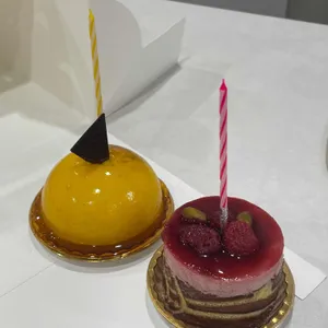 옵스 사진 1