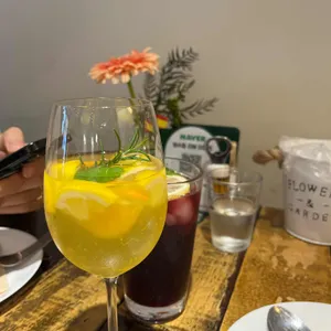 리코타파 사진