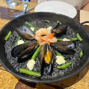 리코타파 사진