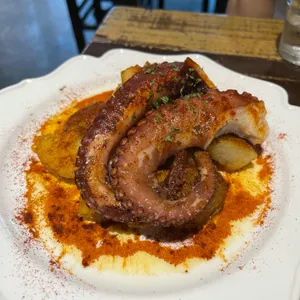 리코타파 사진