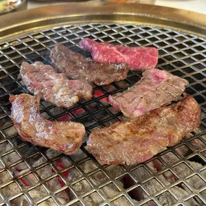 금성회관 사진