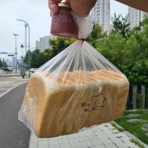 화이트리에 사진