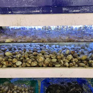 오창조개구이무한리필 리뷰 사진