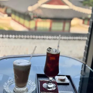 회화나무 사진