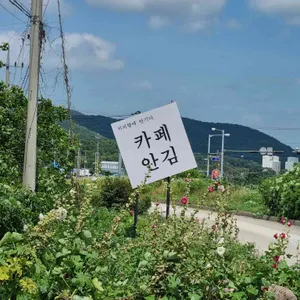 카페안김 리뷰 사진
