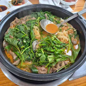 청원흑염소 사진